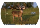Scope Vision Rangefinding TenPoint