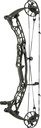 Compound Alpha AX-3 33 Hoyt