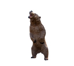 Kodiak Grizzly Rinehart