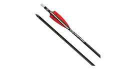 Armbrustpfeil EVO-X 20" CenterPunch TenPoint